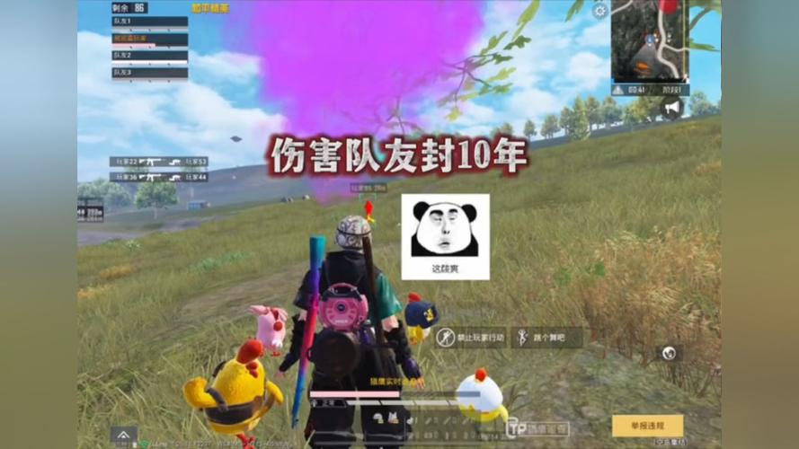 和平精英【逆境】辅助更新:新增防护插件,稳定体验再升及